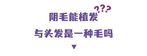 女生陰毛多|阴毛多就代表性欲强吗？聊一聊私处毛发那些事儿~